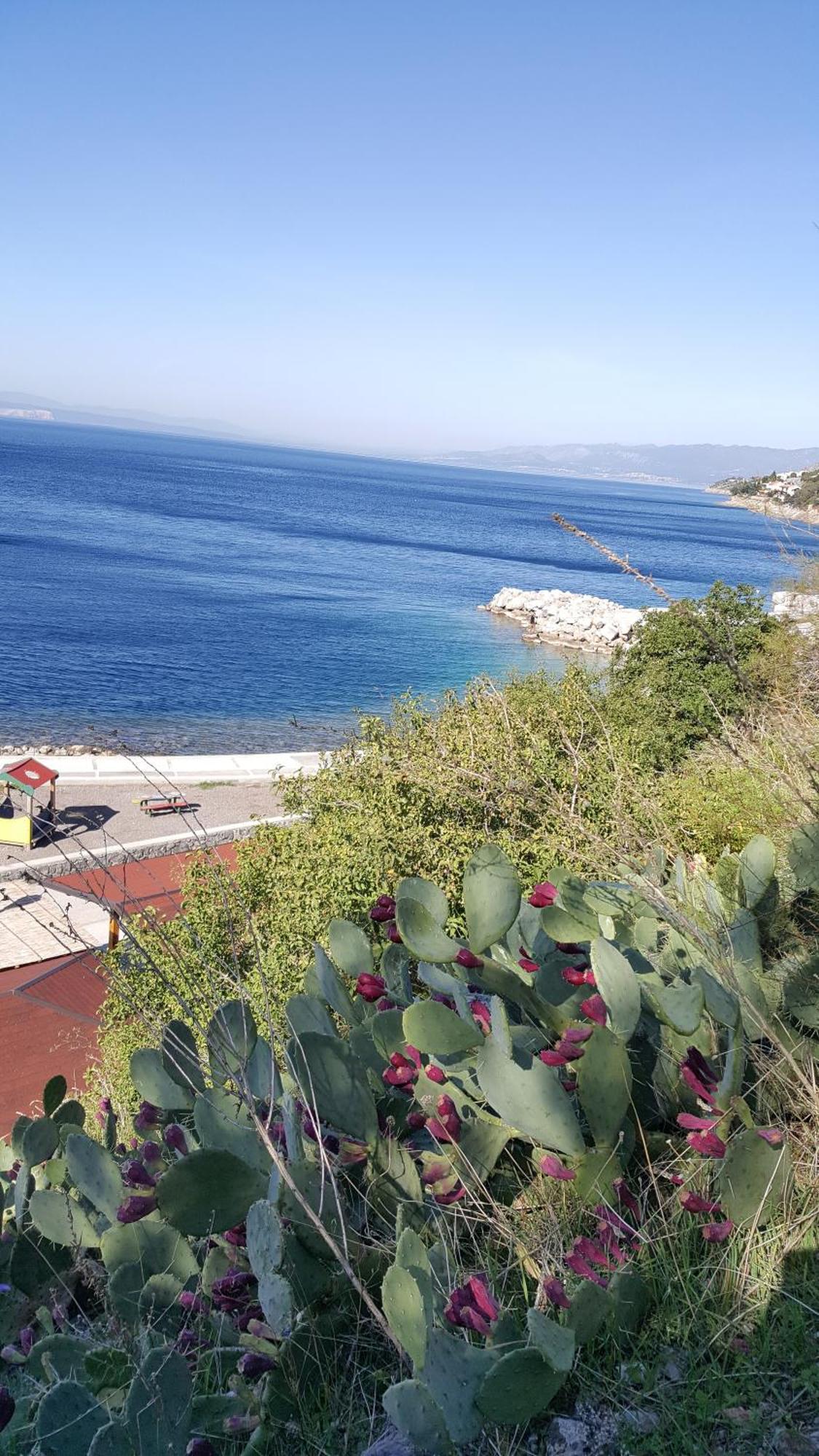 Apartman Bura Senj  Buitenkant foto